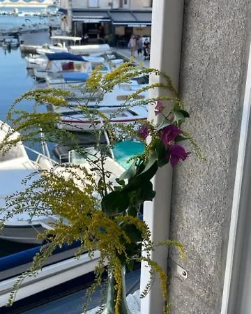 Studio Antonio Apartman Cres